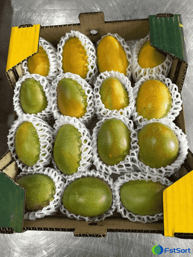 images/1685605798570Pakistán, Mango,.png